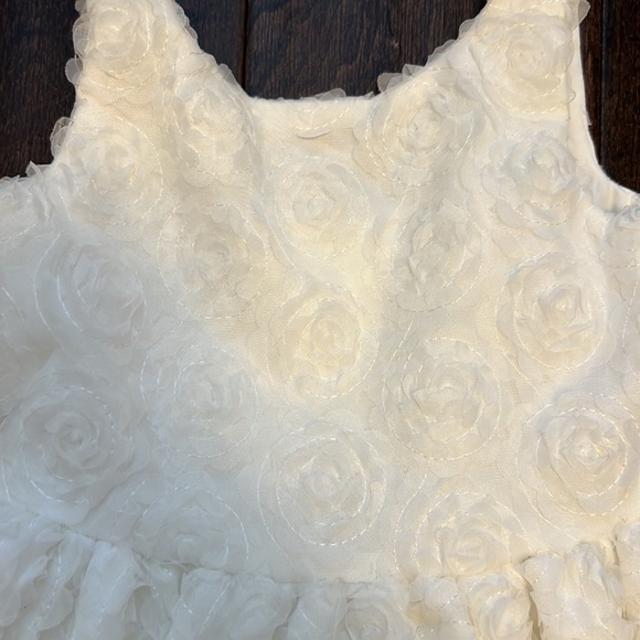 Gorgeous Janie and Jack Special Occasion The Rosette Party Dress! Worn once! - Picture 3 of 10